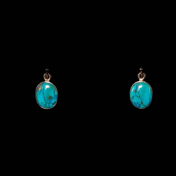 Turquoise Drop | Curated Rhodium-Plated Silver Earrings
